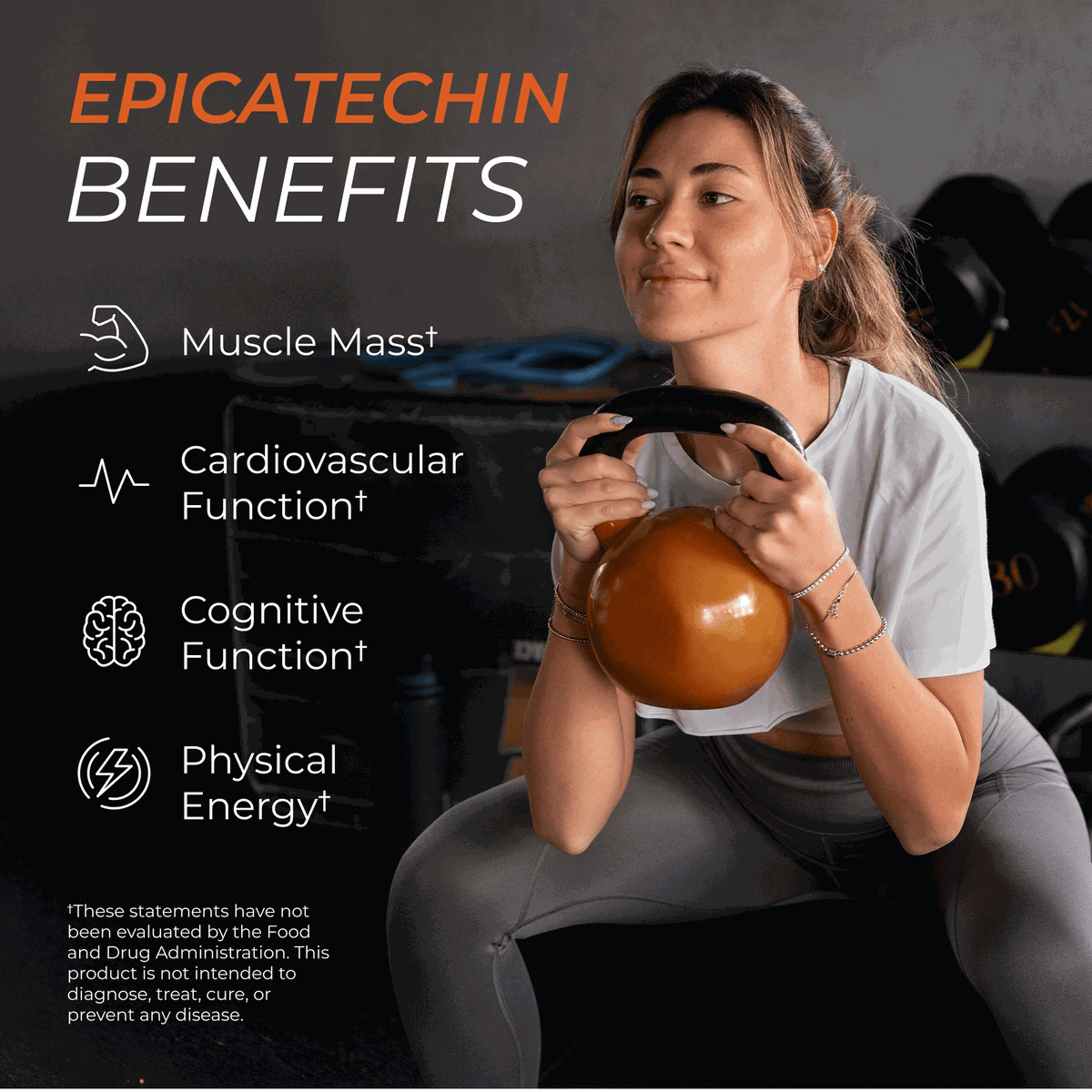 Supplement for Fitness Performance and Wellness Support