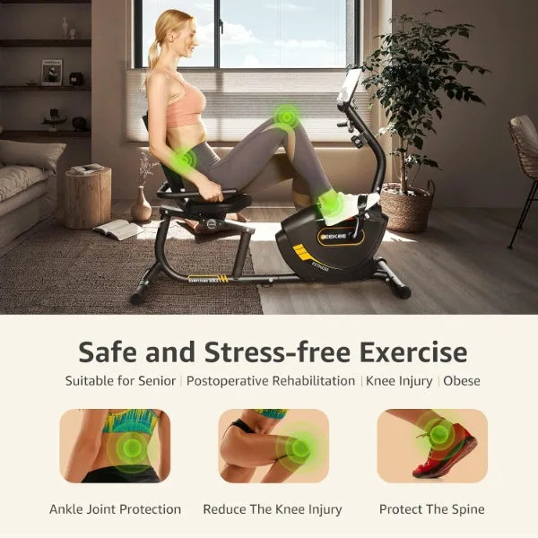 Recumbent Magnetic Exercise Bike for Adults Seniors Home Fitness